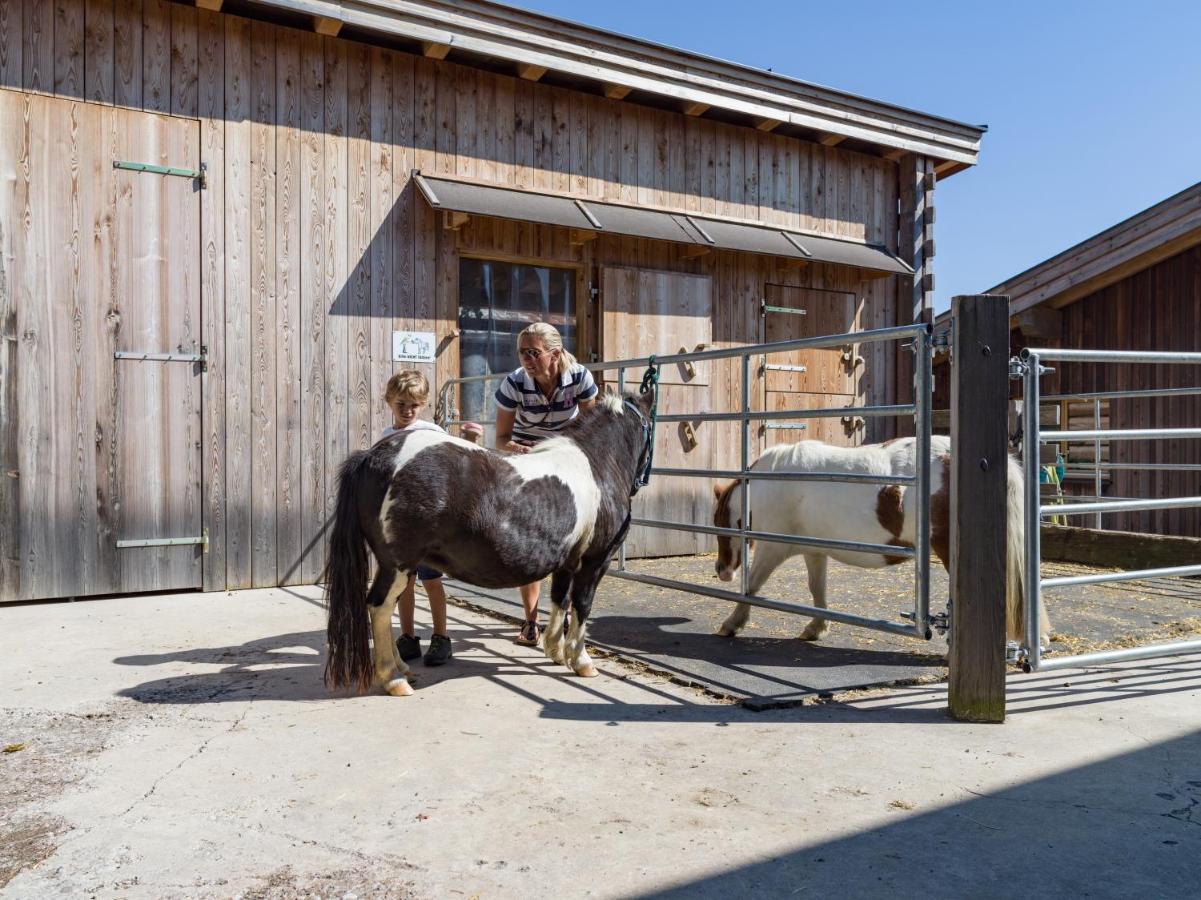 Narzenhof Wellness Chalets, Familien & Luxus Apartments Am Bauernhof Sankt Johann in Tirol Buitenkant foto
