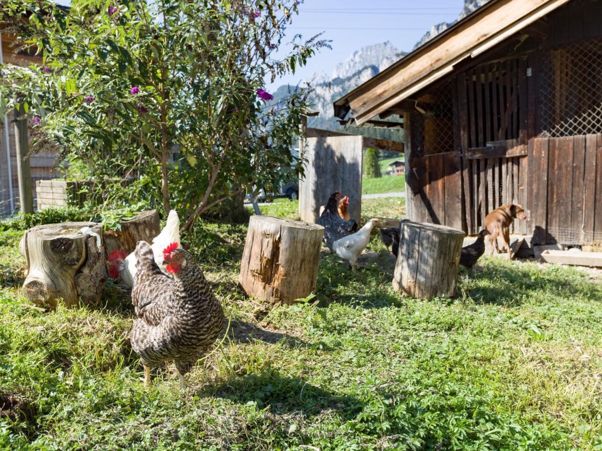 Narzenhof Wellness Chalets, Familien & Luxus Apartments Am Bauernhof Sankt Johann in Tirol Buitenkant foto