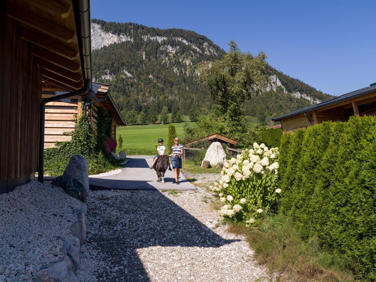 Narzenhof Wellness Chalets, Familien & Luxus Apartments Am Bauernhof Sankt Johann in Tirol Buitenkant foto