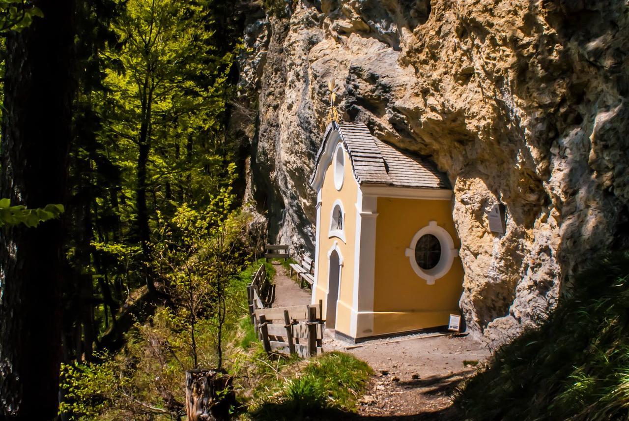 Narzenhof Wellness Chalets, Familien & Luxus Apartments Am Bauernhof Sankt Johann in Tirol Buitenkant foto