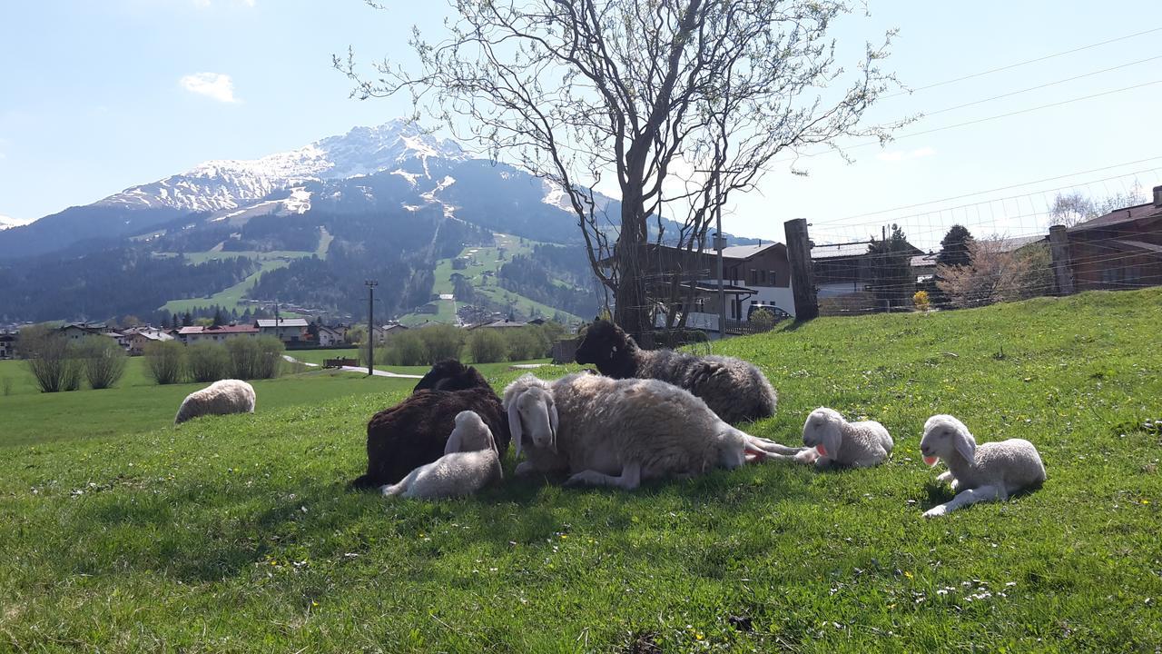 Narzenhof Wellness Chalets, Familien & Luxus Apartments Am Bauernhof Sankt Johann in Tirol Buitenkant foto