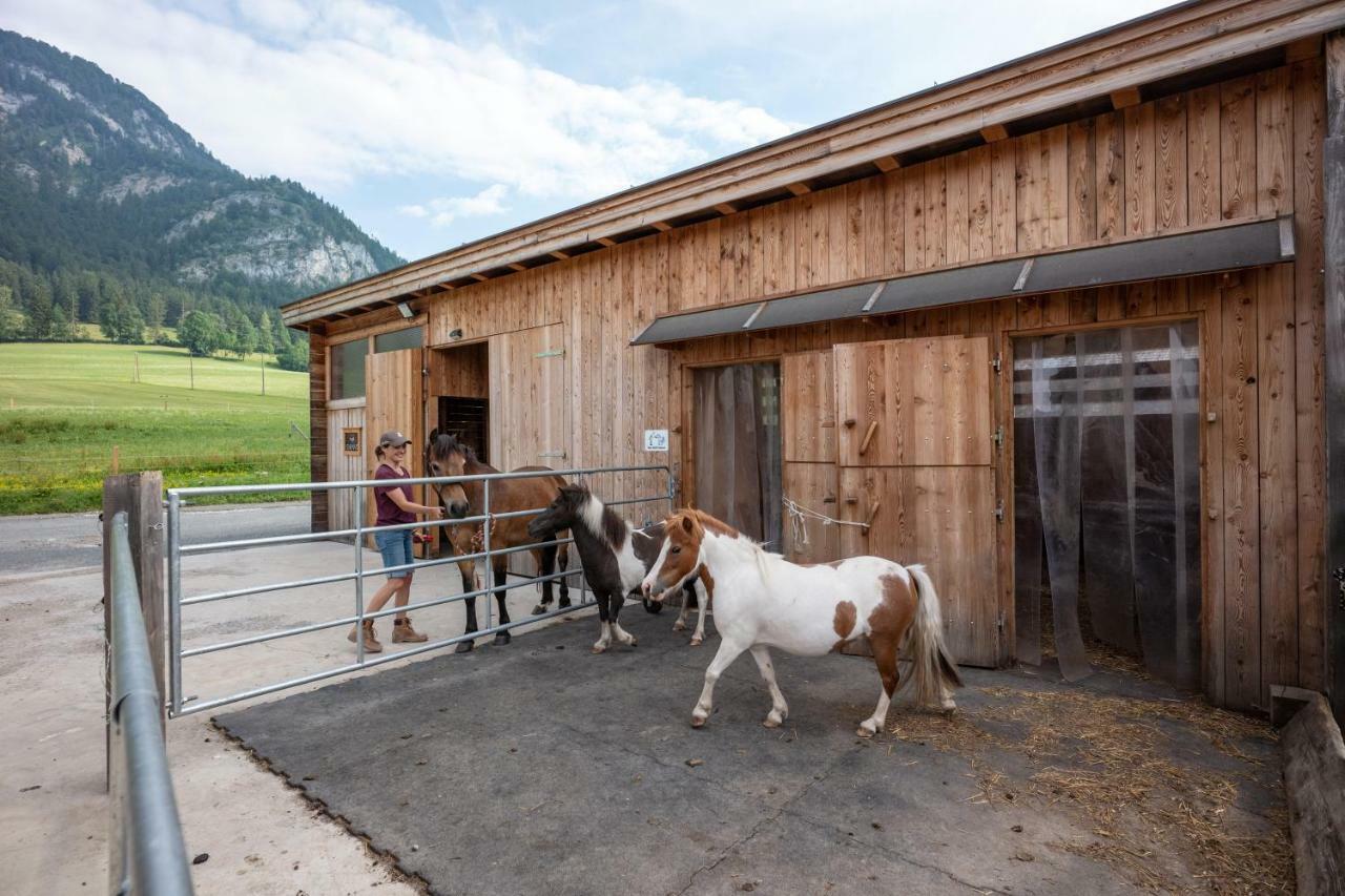 Narzenhof Wellness Chalets, Familien & Luxus Apartments Am Bauernhof Sankt Johann in Tirol Buitenkant foto