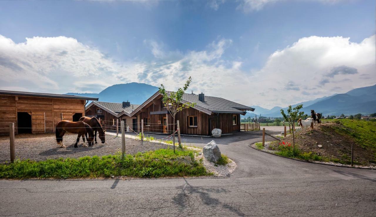 Narzenhof Wellness Chalets, Familien & Luxus Apartments Am Bauernhof Sankt Johann in Tirol Buitenkant foto